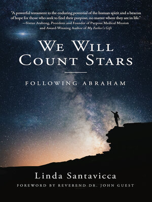 cover image of We Will Count Stars